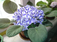 DSC00013.JPG