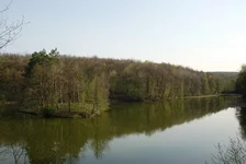 DSC_7747_small.webp