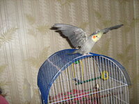 IMG_2001.jpg