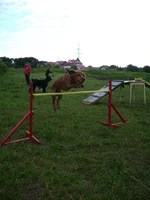DSC02024.webp