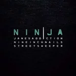 NIN 2009.webp