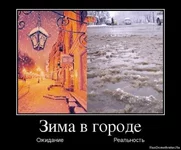 3.webp