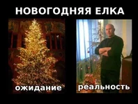 4.webp