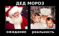 5.webp