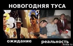 7.webp