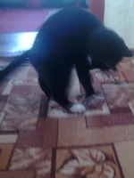 0170.webp