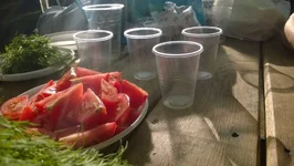 WP_20140701_003.webp