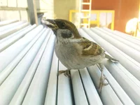 DSC00824.webp