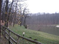 IMG_5498.jpg