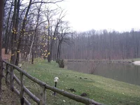 IMG_5498.webp