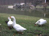 IMG_5503.jpg