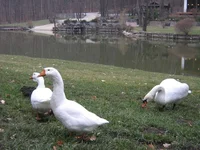IMG_5503.webp