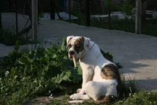IMG_0005_1.jpg
