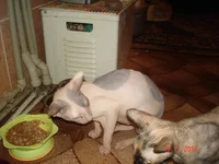 DSC00091.webp