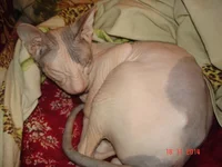 DSC00095.webp