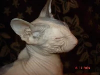 DSC00098.webp