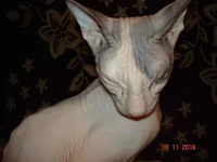 DSC00099.webp