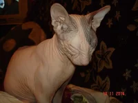 DSC00102.webp