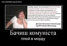 7a4b38140497.webp