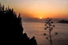 35.webp