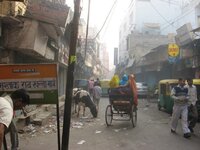 IMG_0772_1.jpg