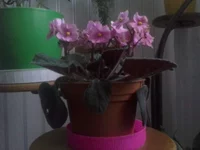 004.webp