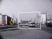 6367496.jpg