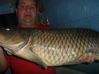 2014-11-17 05-39-20.webp