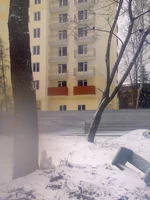 0140.webp