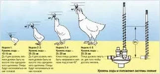 images.webp