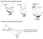 vysota-nippelnyh-kolokolnyh-poilok.webp