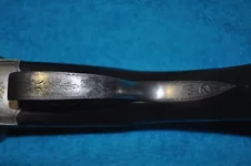 Gf5p4fFwpwc (1).webp