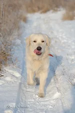 IMD_2801-2w.webp