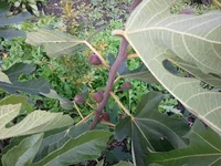 20130928_125007.webp