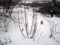20141207_144149.webp