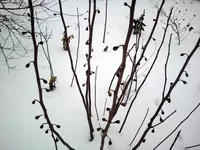 20141207_144430.webp