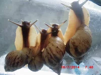  водохранилище 054.webp