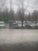 AfmL4XrMddI.webp