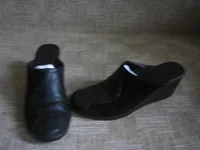 kc_rename.IMG_0052.webp