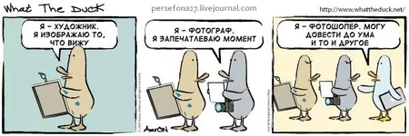 43431045_7616275ce917698865.webp