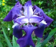 -2009 629.webp