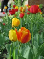 IMG_2878.webp