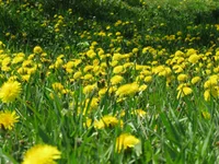 IMG_2752 (2).webp