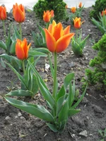 IMG_2900.webp