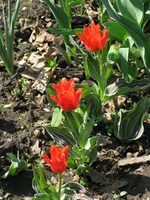 IMG_2779.webp