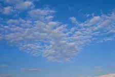 DSC00937.webp