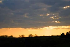 DSC00955.webp