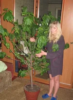 IMG_0438.webp