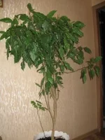 IMG_0324331.webp