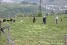 IMG_8189.webp